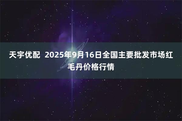 天宇优配  2025年9月16日全国主要批发市场红毛丹价格行情