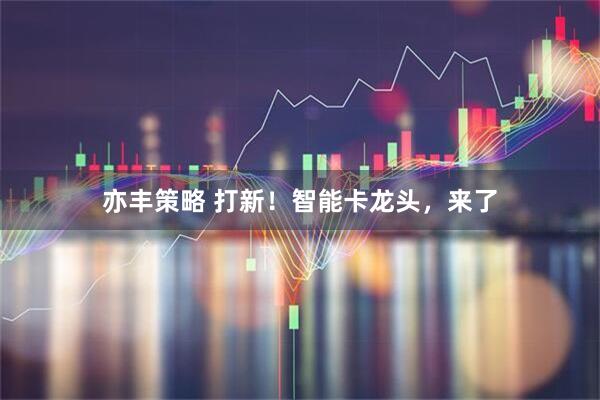 亦丰策略 打新！智能卡龙头，来了