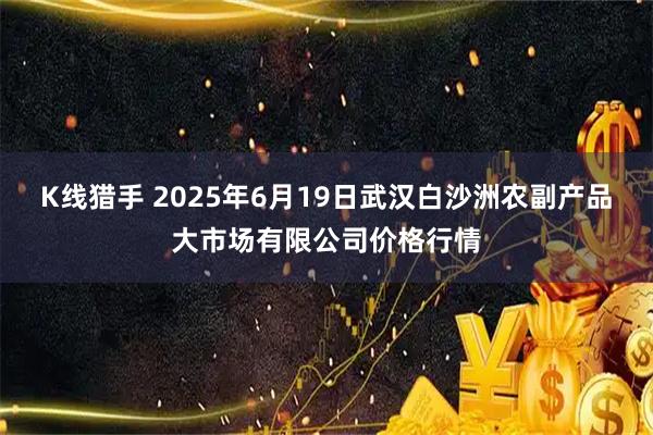 K线猎手 2025年6月19日武汉白沙洲农副产品大市场有限公司价格行情