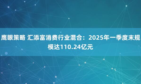 鹰眼策略 汇添富消费行业混合：2025年一季度末规模达110.24亿元