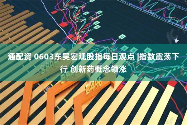 通配资 0603东吴宏观股指每日观点 |指数震荡下行 创新药概念领涨